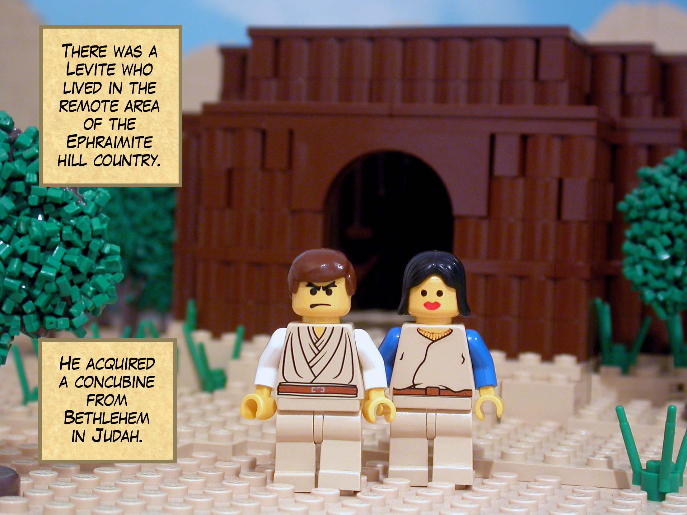 There was a Levite who lived in the remote area of the Ephraimite hill country. He acquired a concubine from Bethlehem in Judah.