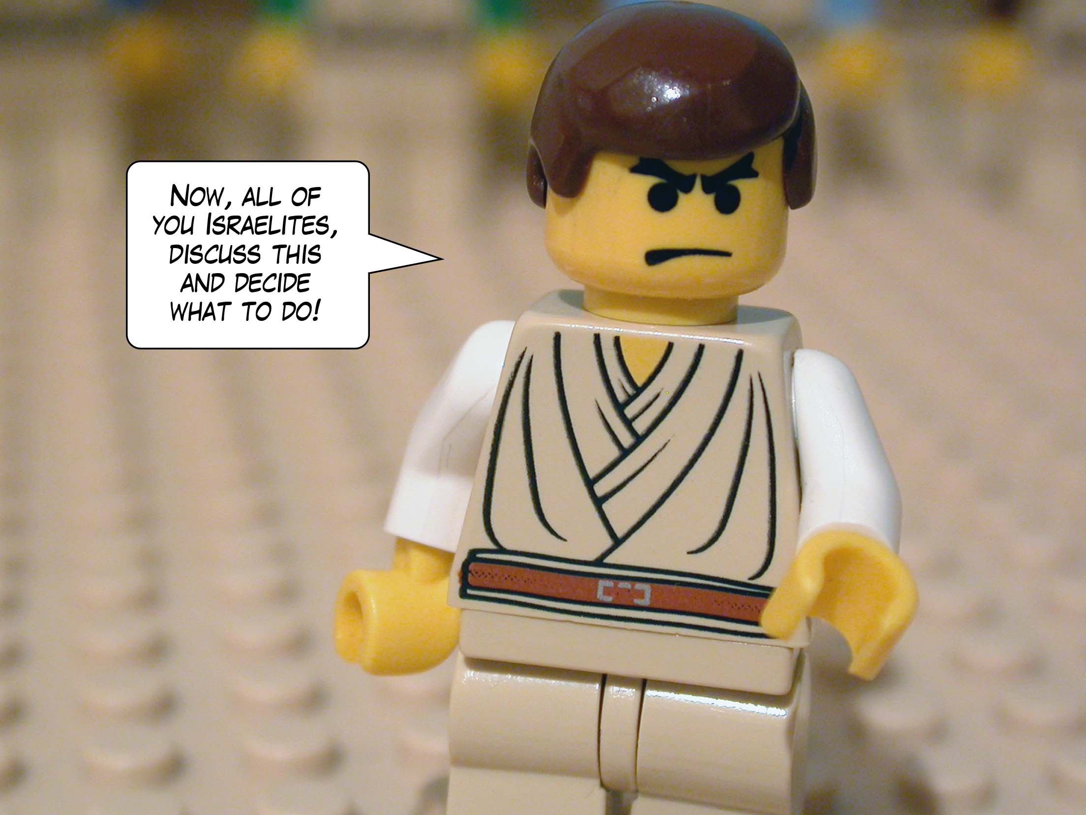 'Now, all of you Israelites, discuss this and decide what to do!'