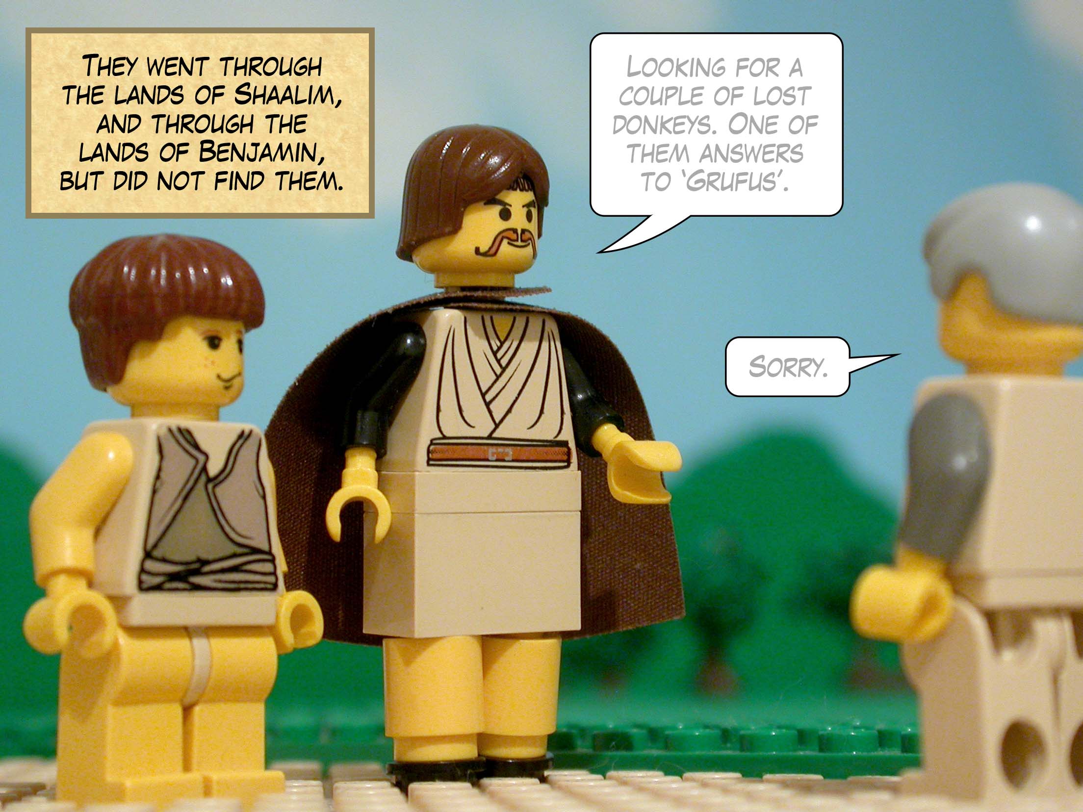 They went through the lands of Shaalim, and through the lands of Benjamin, but did not find them.