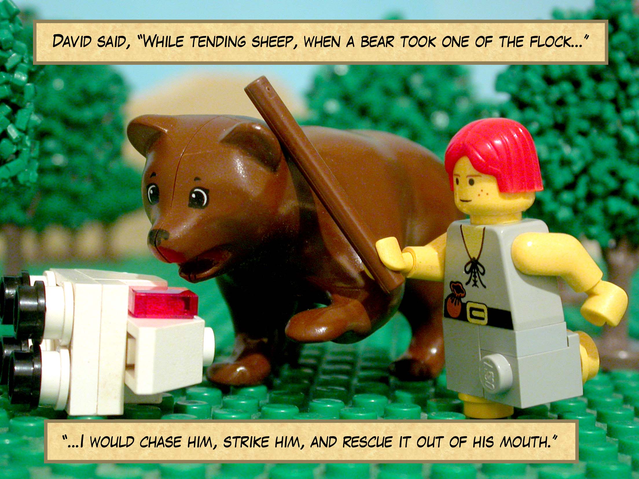 David said, 'While tending sheep, when a lion or bear took one of the flock, I would chase him, strike him, and rescue it out of his mouth.'