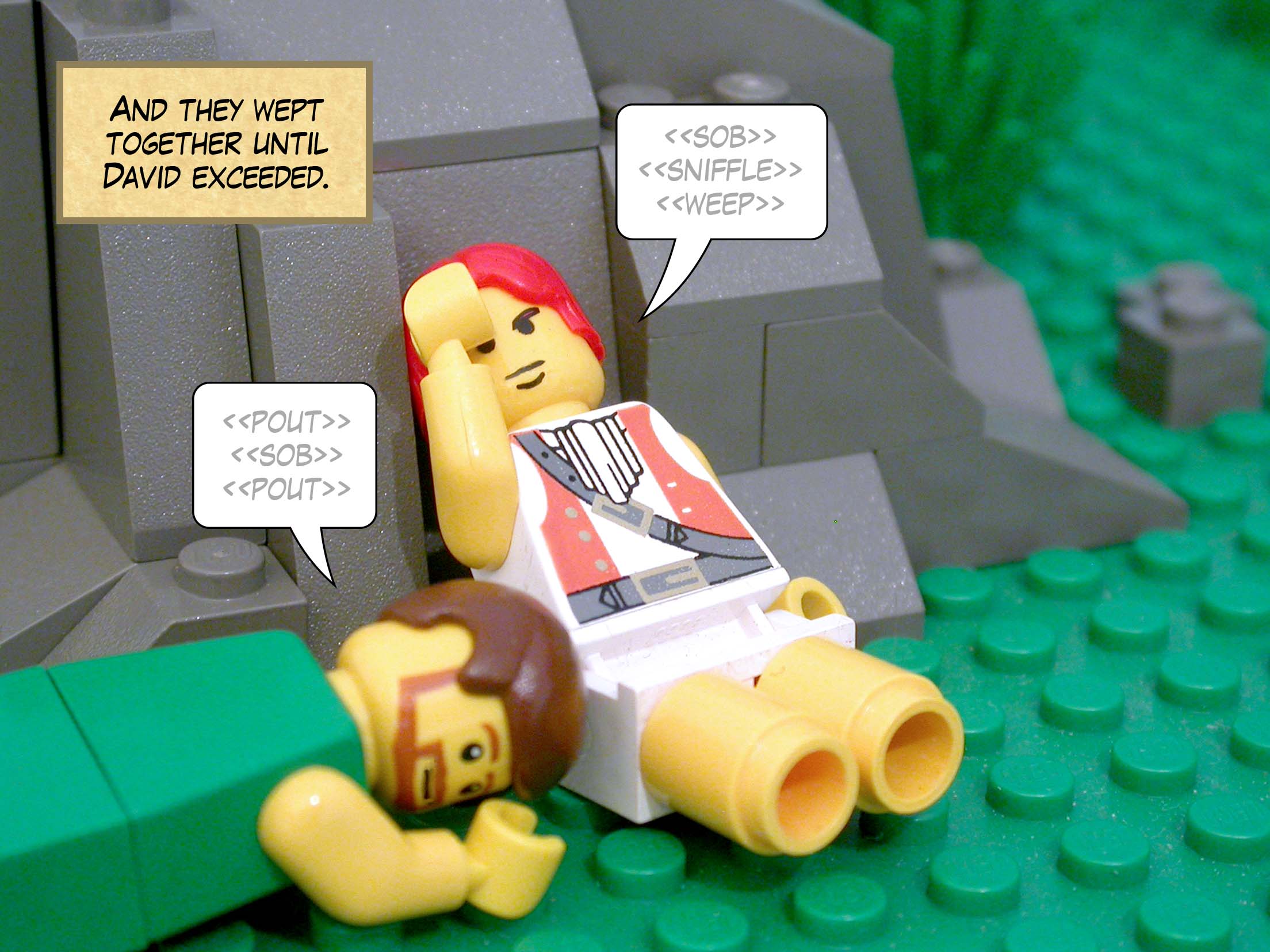 And they wept together until David exceeded.