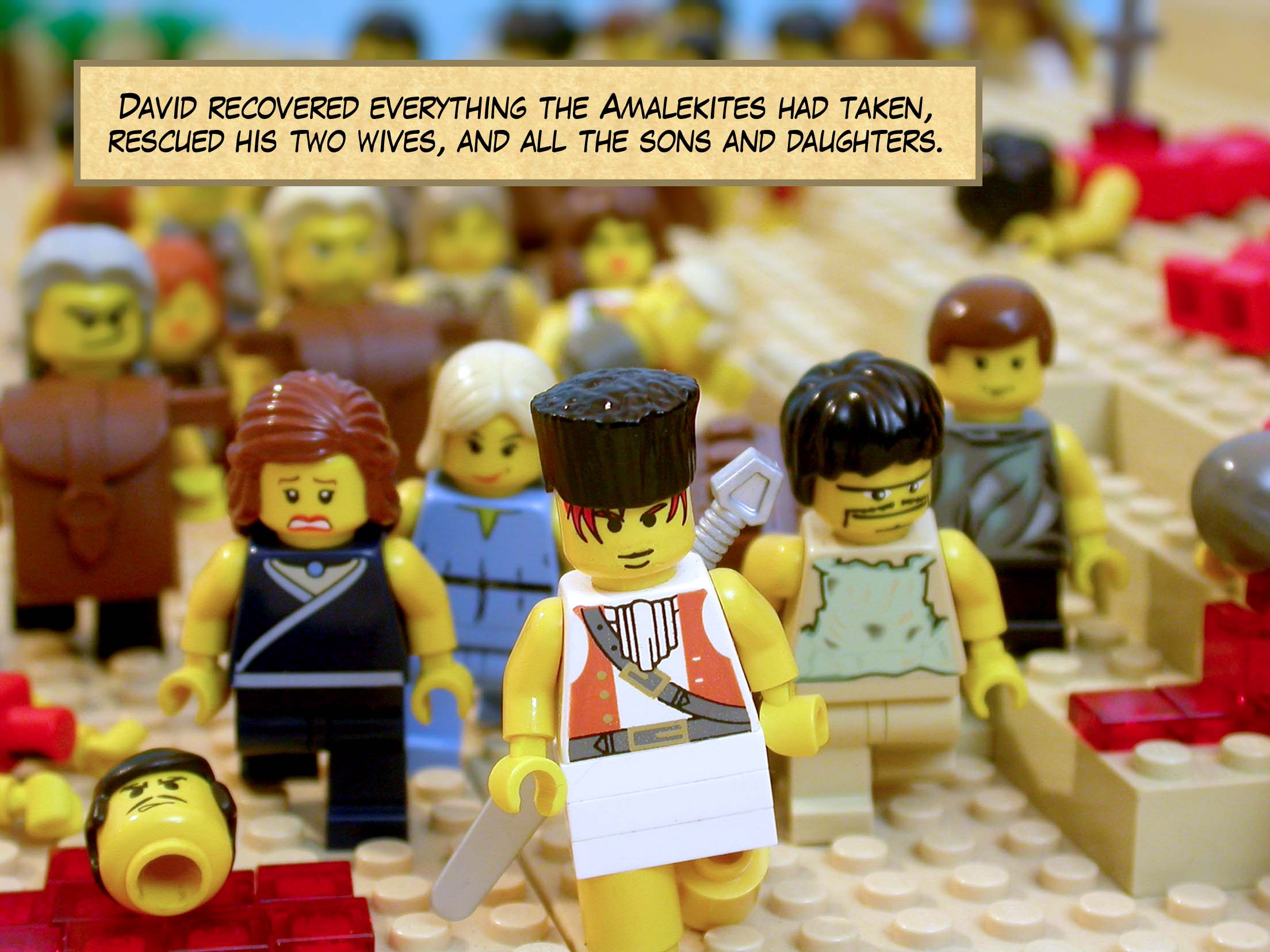 David recovered everything the Amalekites had taken, rescued his two wives, and all the sons and daughters.