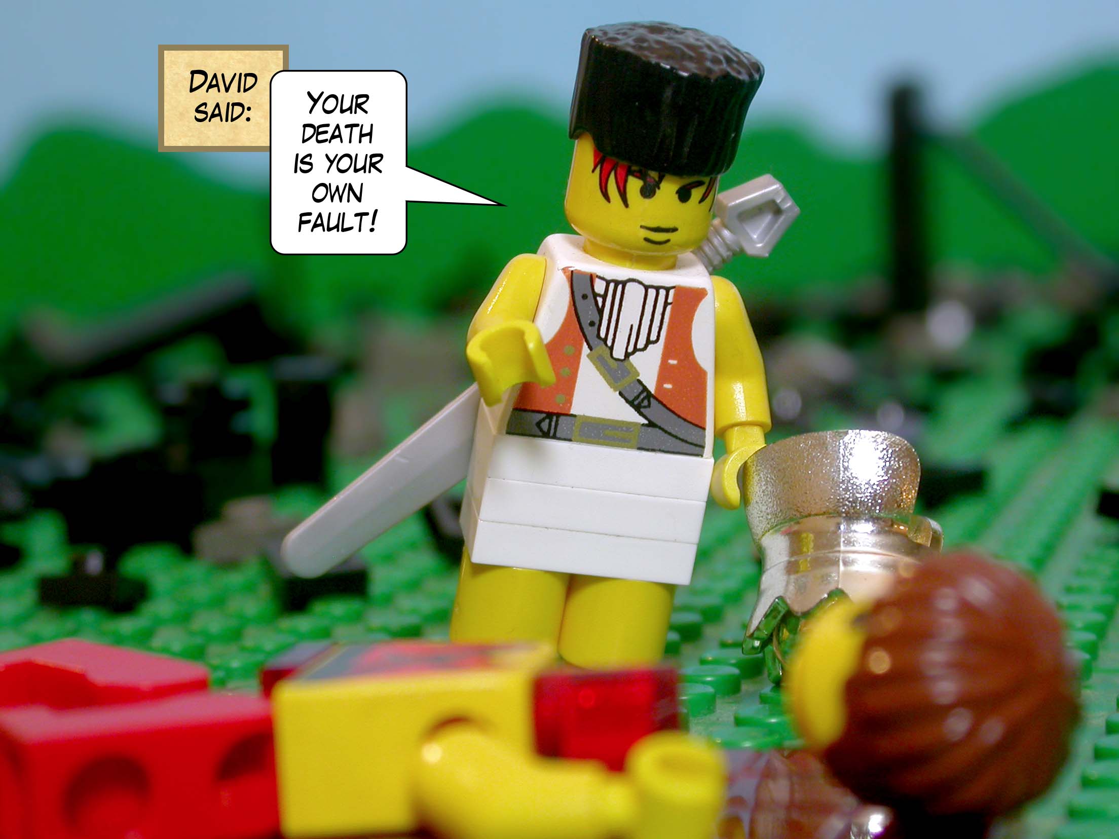 David said, 'Your blood be on your own head!'