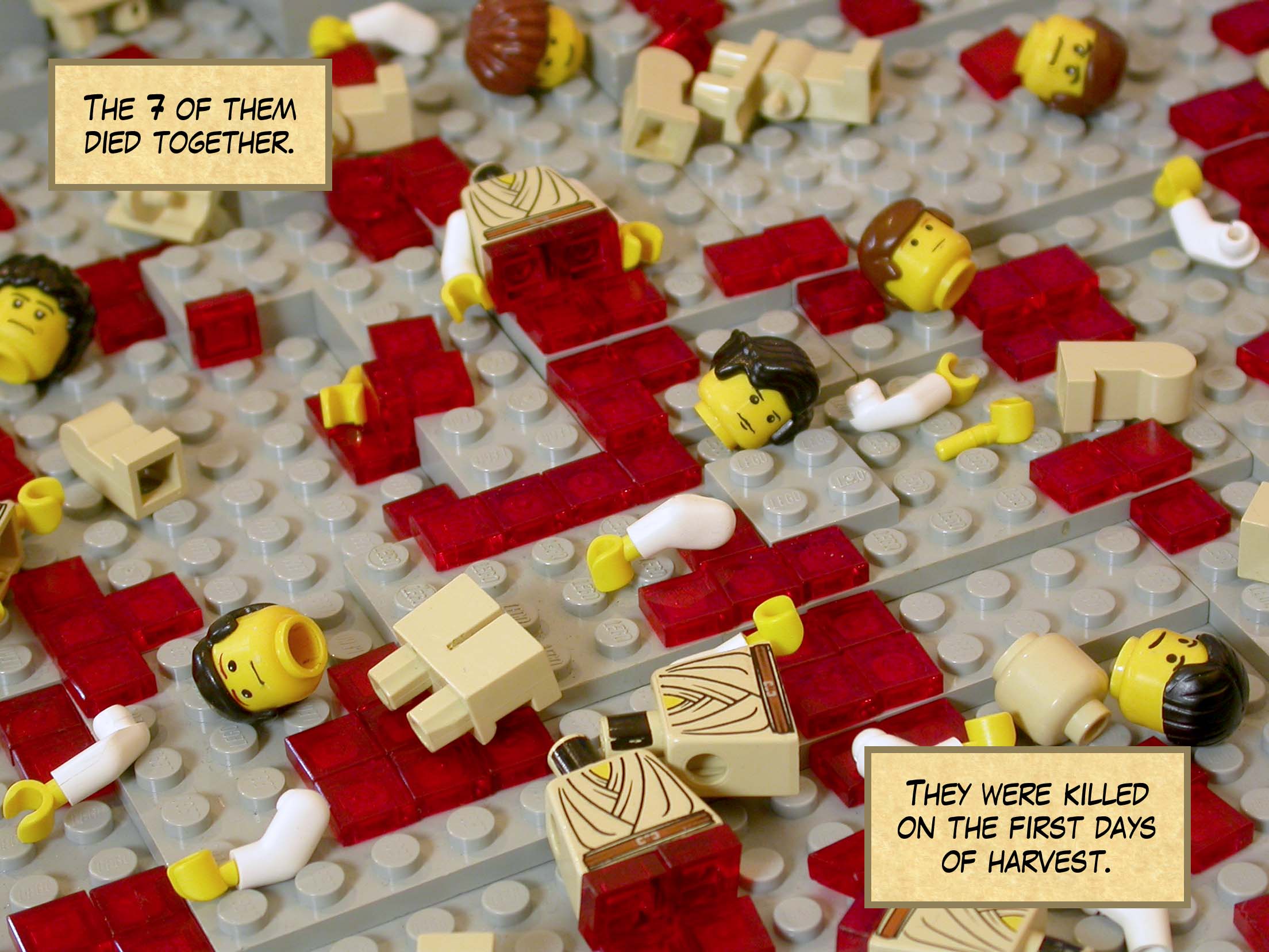 The seven of them died together. They were killed on the first days of harvest.