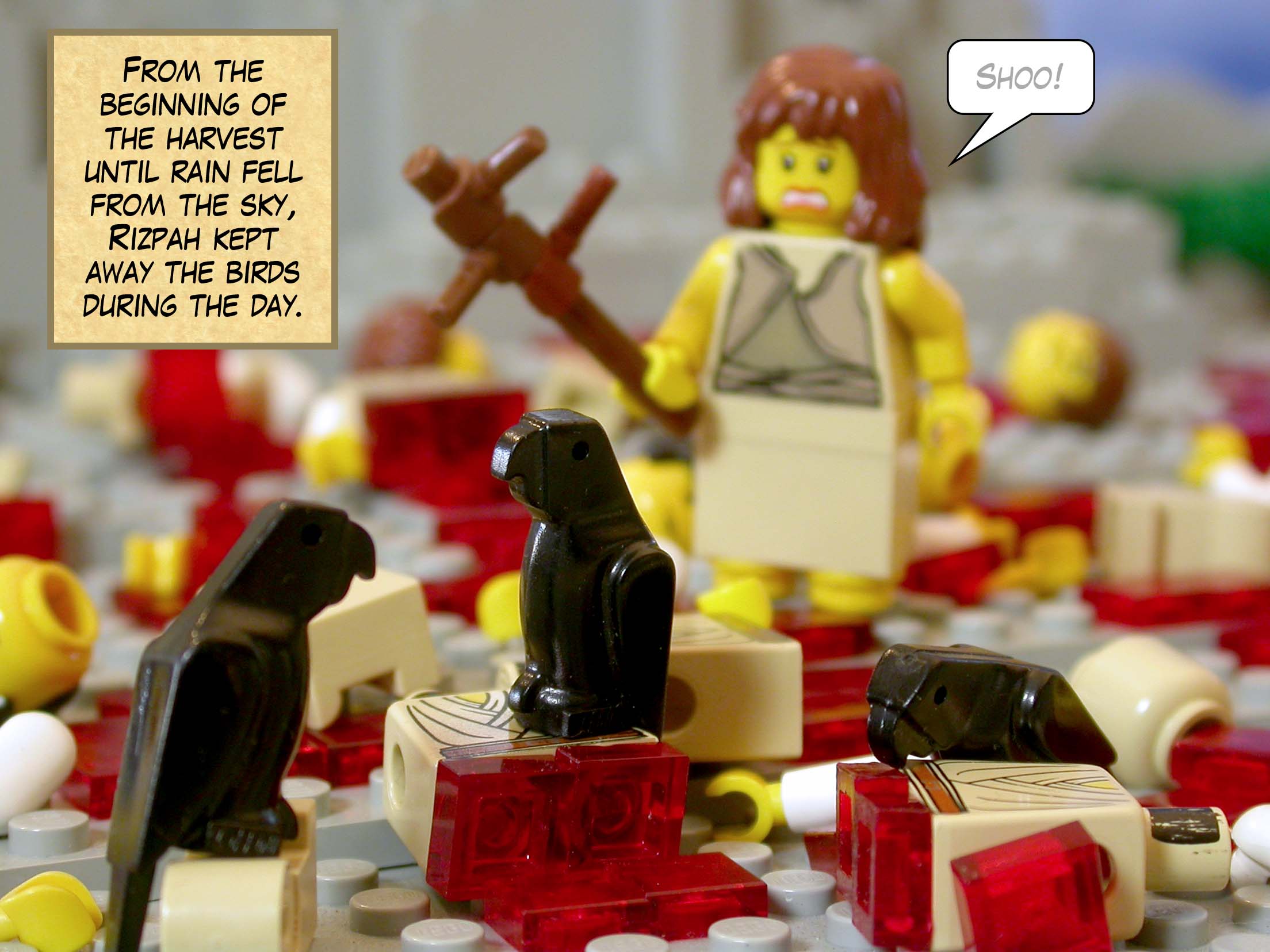 From the beginning of the harvest until rain fell from the sky, Rizpah kept away the birds during the day.