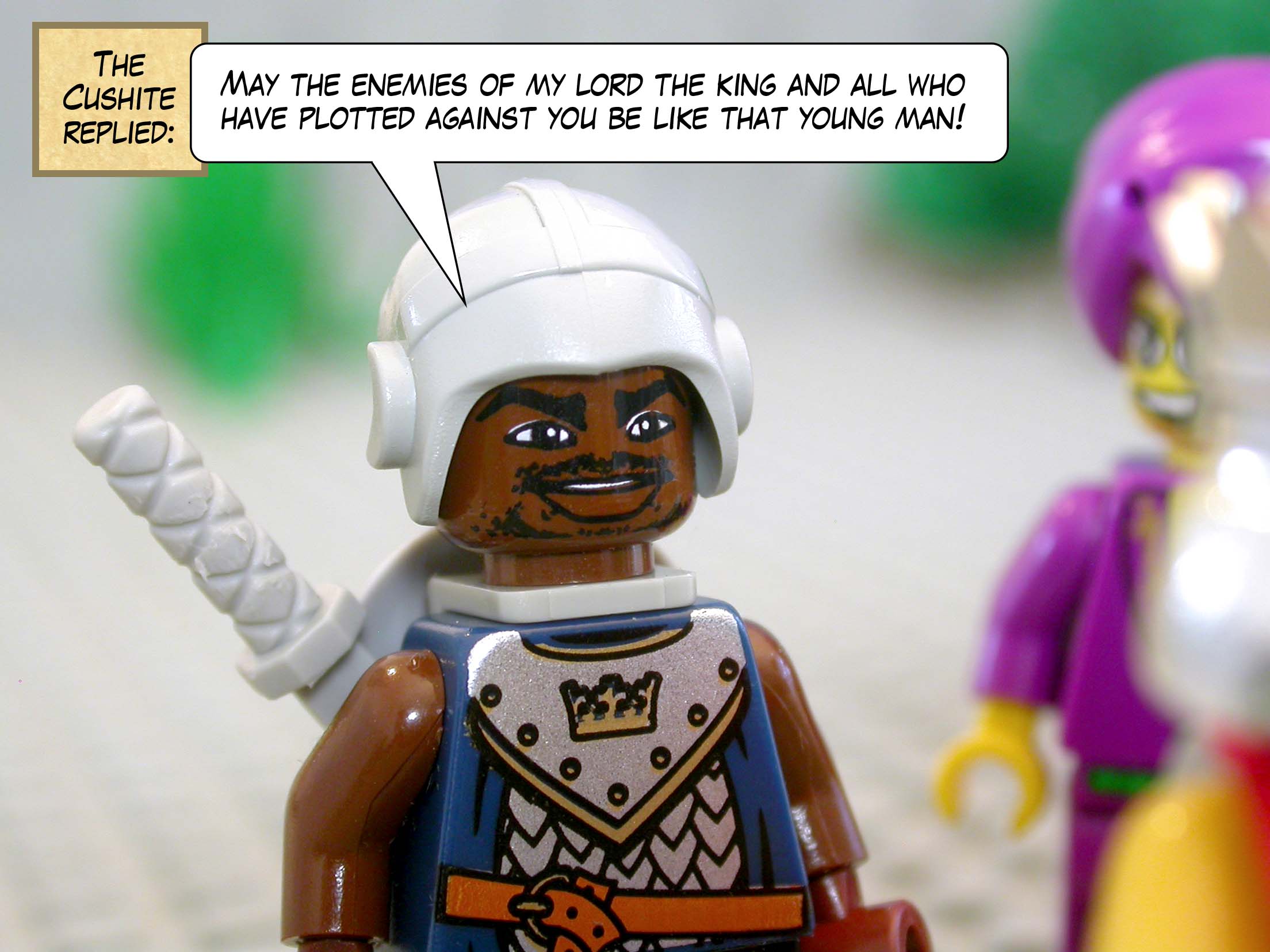 The Cushite replied, 'May the enemies of my lord the king and all who have plotted against you be like that young man!'