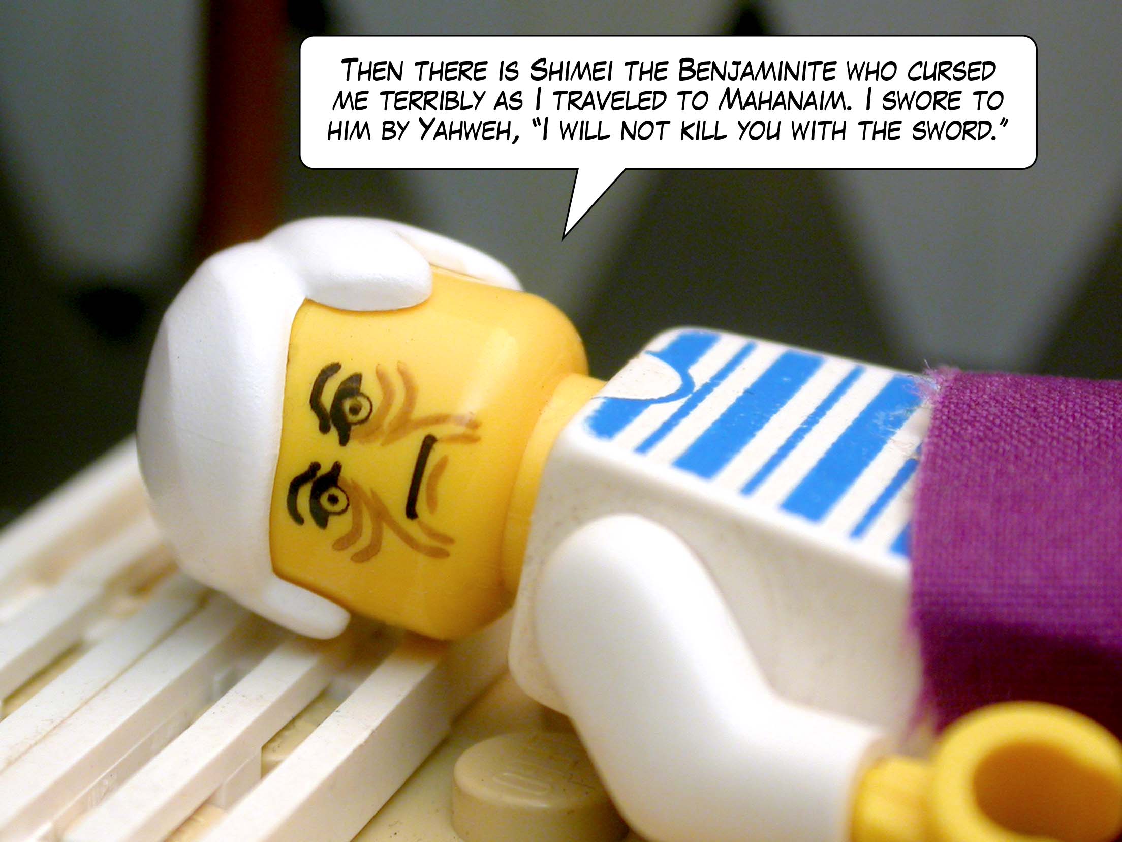 'Then there is Shimei the Benjaminite who cursed me terribly as I traveled to Mahanaim. I swore to him by Yahweh, "I will not kill you with the sword."'