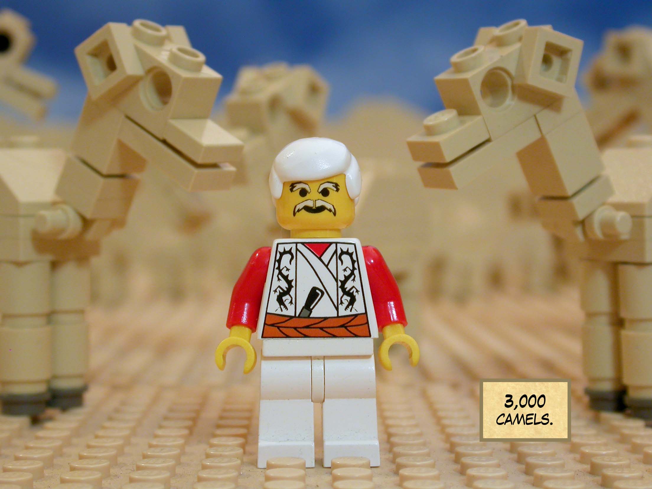 3,000 camels.