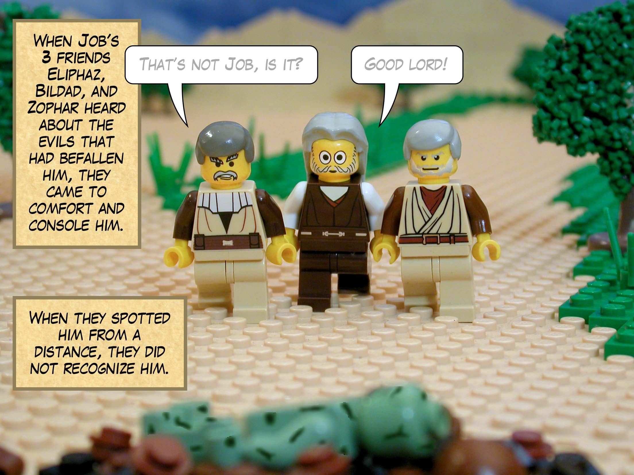 When Job's three friends Eliphaz, Bildad, and Zophar heard about the evils that had befallen him, they came to comfort and console him. When they spotted him from a distance, they did not recognize him.<br>