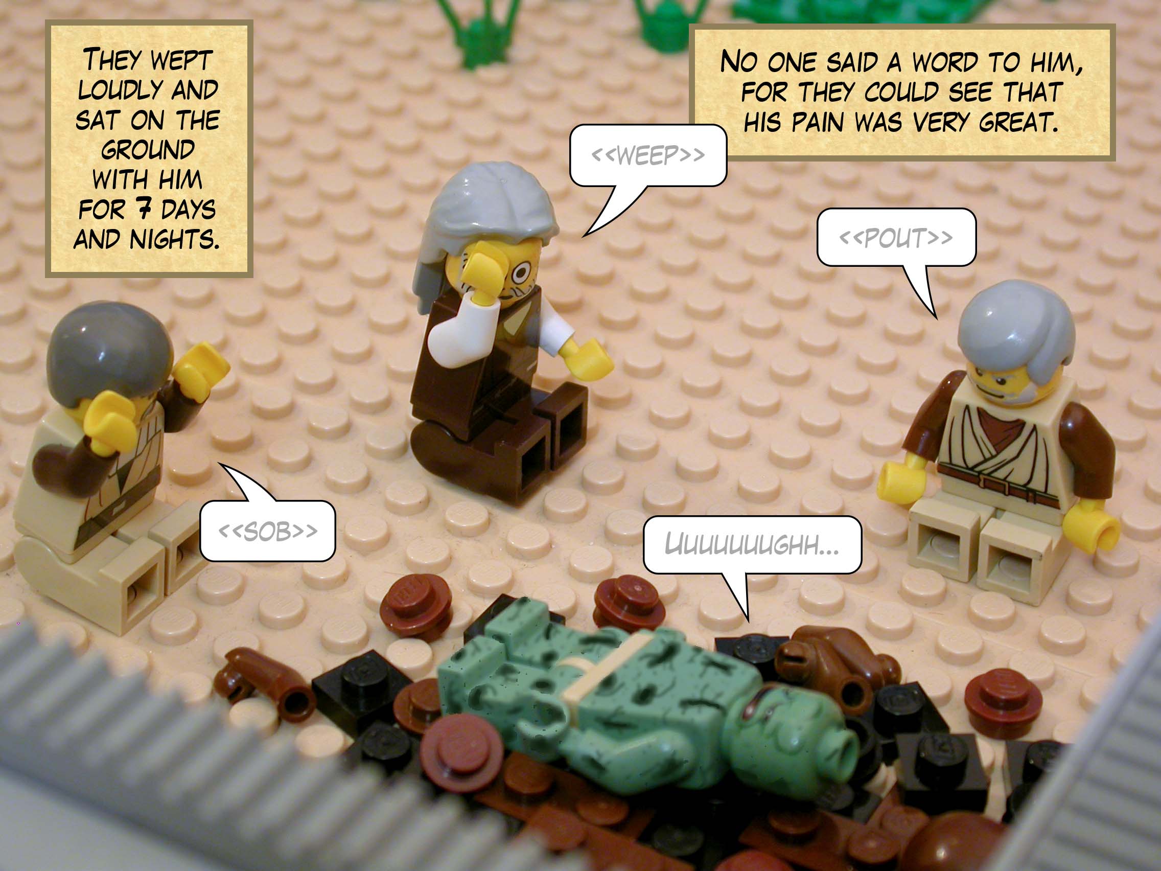 They wept loudly and sat on the ground with him for seven days and nights. No one said a word to him, for they could see that his pain was very great.<br>