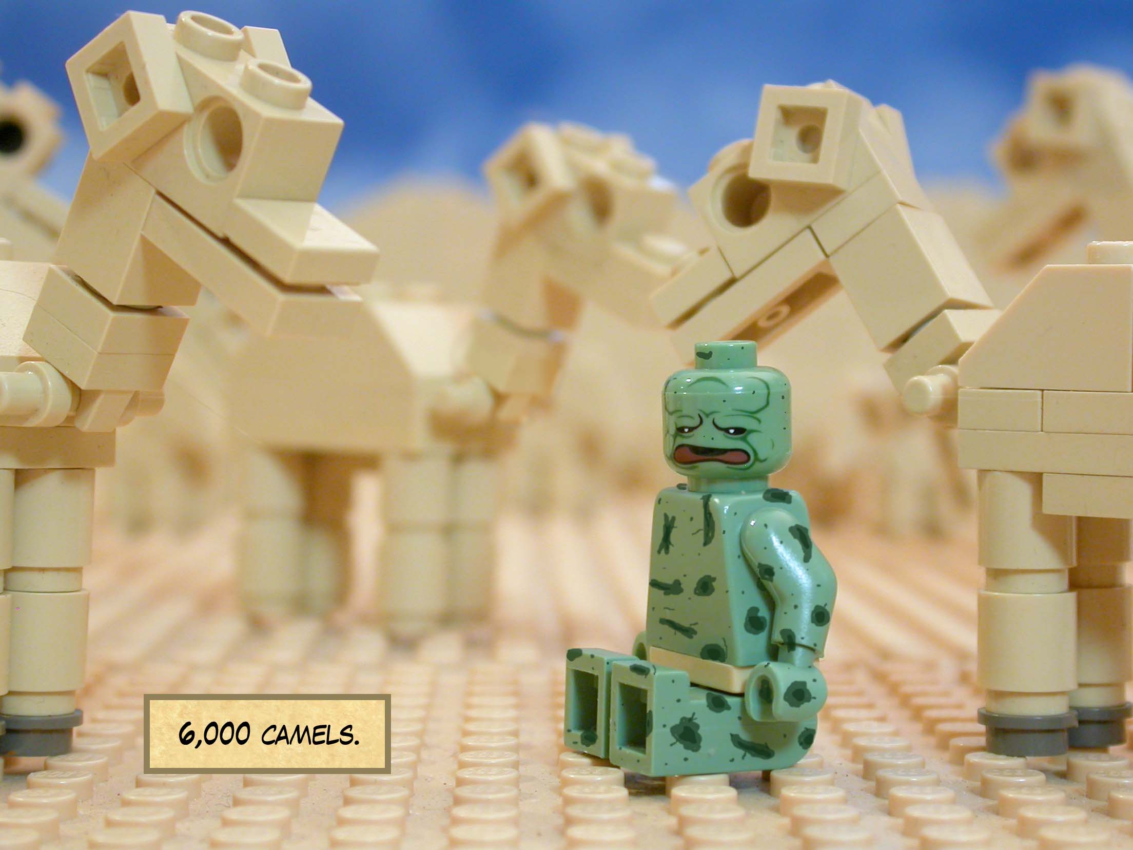 6,000 camels.<br> <br>
