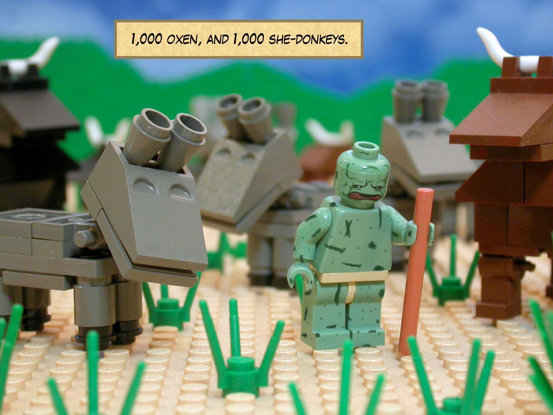 1,000 oxen, and 1,000 she-donkeys.<br> <br>